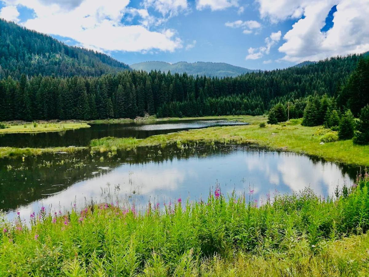 Secret Lake 533 At Oak Residence Smolyan Extérieur photo